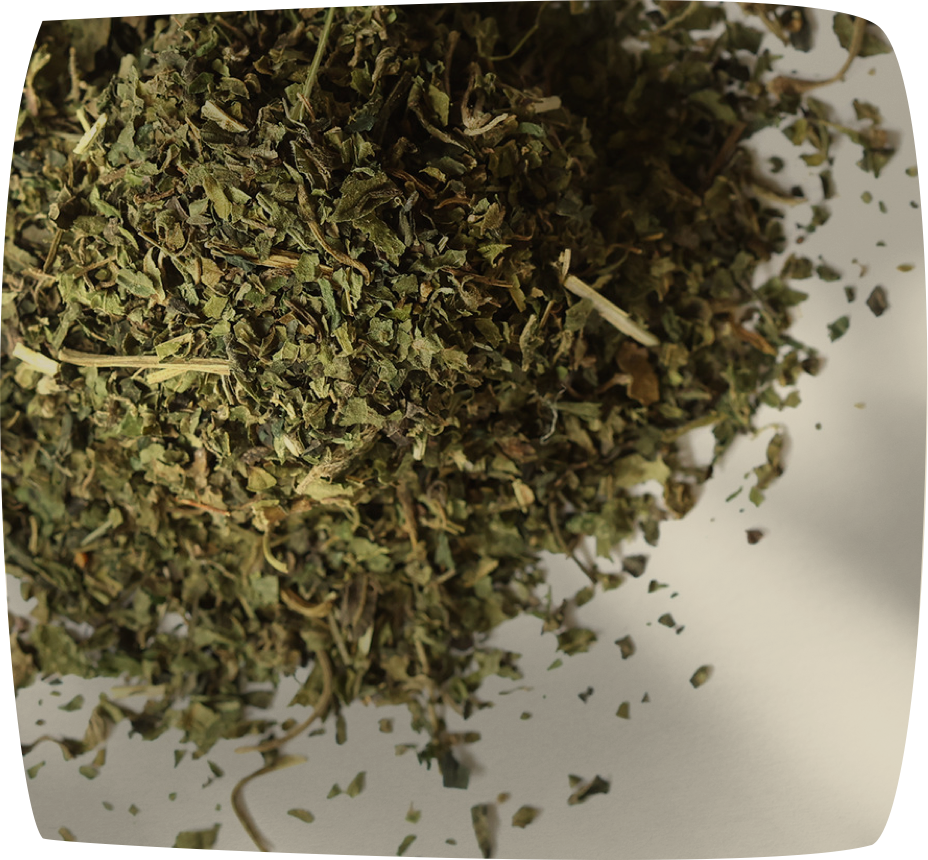 Nettle
