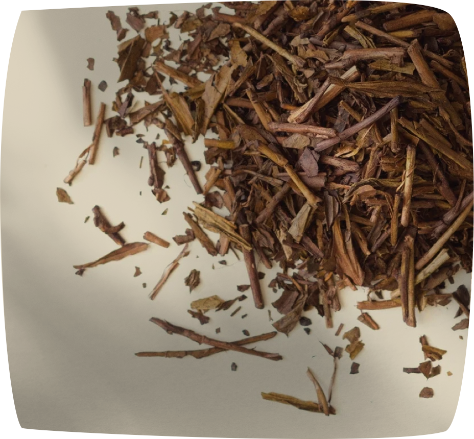 Hojicha
