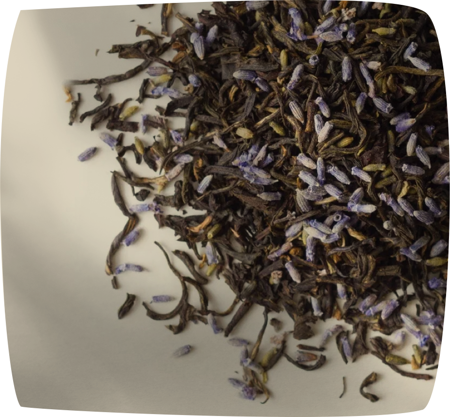 Earl Grey No. 2