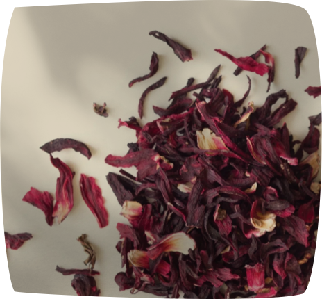Hibiscus