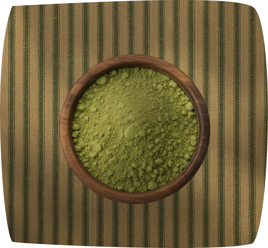 Matcha Midori