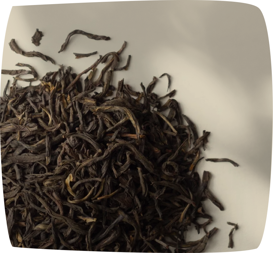 Assam Pekoe