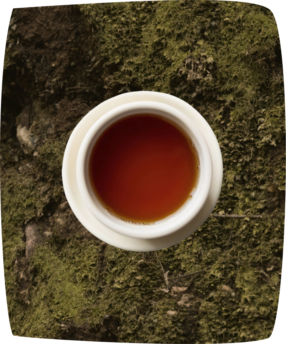 Hojicha