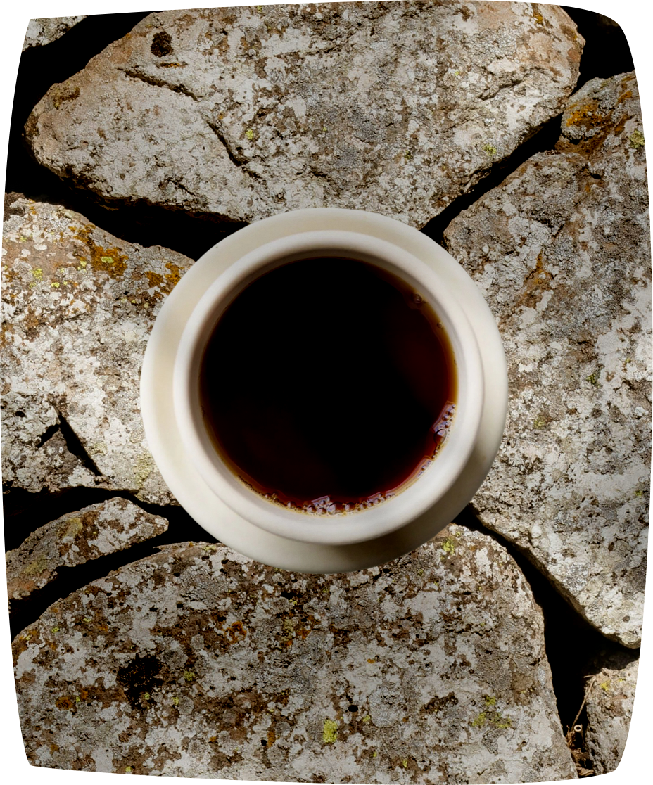 Earl Grey No. 2